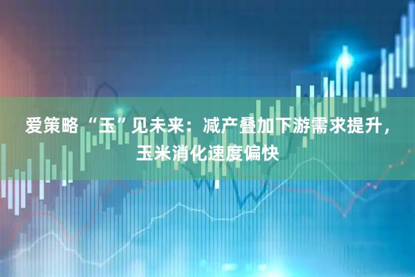 爱策略 “玉”见未来：减产叠加下游需求提升，玉米消化速度偏快