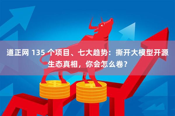 道正网 135 个项目、七大趋势：撕开大模型开源生态真相，你会怎么卷？