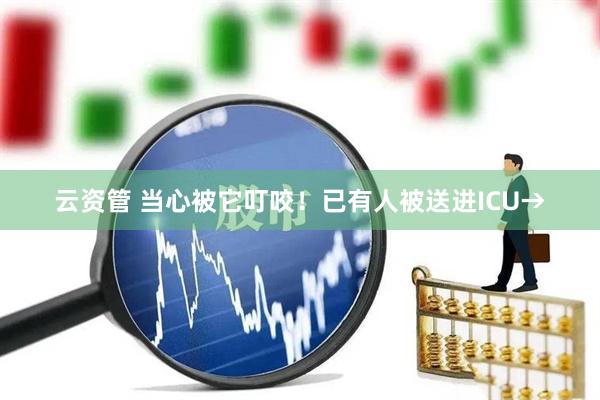 云资管 当心被它叮咬！已有人被送进ICU→