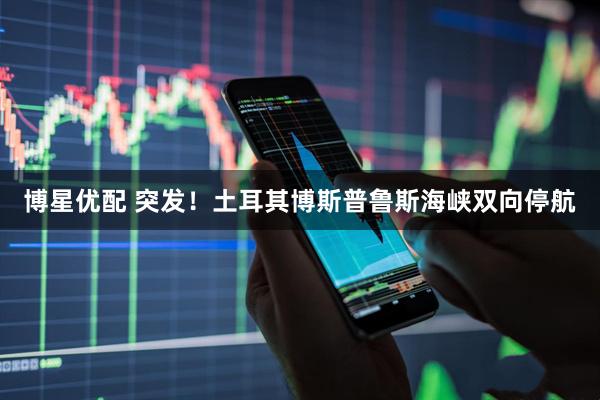 博星优配 突发！土耳其博斯普鲁斯海峡双向停航