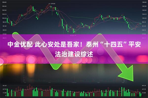 中金优配 此心安处是吾家！泰州“十四五”平安法治建设综述